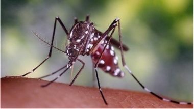 Delhi: 109 Malaria, 56 Dengue Cases So Far This Year