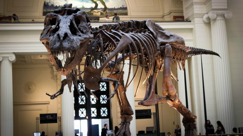 Name a Dinosaur After Yourself but you Need £1,000,000