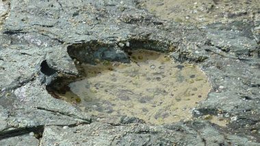 Rare Dinosaur Footprint in Scotland Gives Clues to a Lost Era of the Middle Jurassic Period