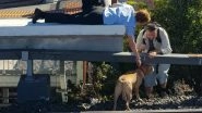 Curious Dog Was Rescued by Samaritans While It Was Wandering at the Train Tracks in Melbourne, Twitterati is Delighted