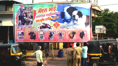 Tired of Political Hoardings in the City, Kalyan Residents Mock Netas With Dog's Birthday Banner