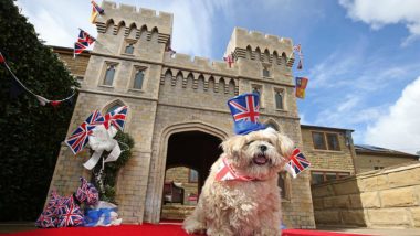 Windsor Castle Replica Worth USD 7,000 Created for a Dog to Watch the Royal Wedding of Prince Harry and Meghan Markle