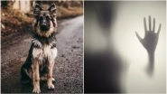 Can Dogs See Ghosts? Here Are 5 Things Which Dogs Are Capable of That Humans Can't
