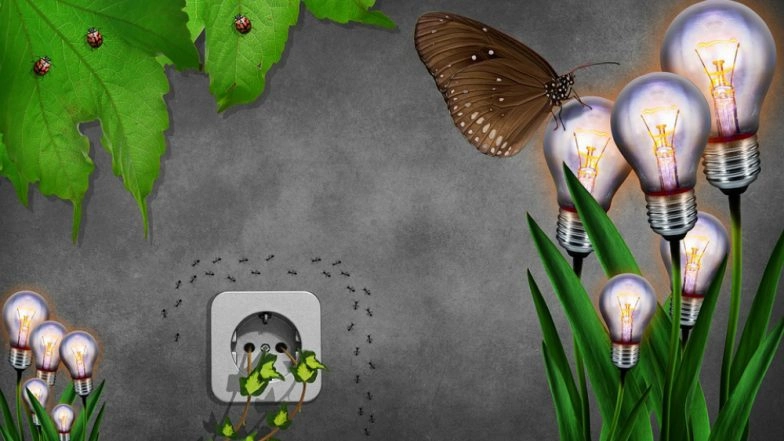International Mother Earth Day 2018: Let us Follow These Simple Tips for an Eco-Friendly Lifestyle