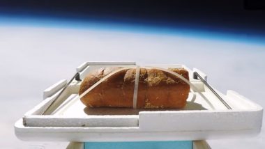 Garlic Bread was Sent into Space to See How it Tastes After Landing Back on Earth, Watch Video