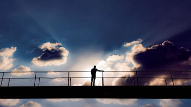 Man Scales Howrah Bridge To 'Pray For India' Tired of Everyday Hardships