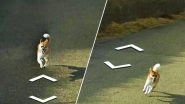 Dog Followed Google Street View Car in Japan and Ruined Every Photo on Google Maps