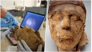 Mystery Behind 4000-year-old Mummy Found at Deir El Bersha, an Ancient Egyptian Necropolis Solved by FBI