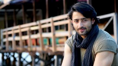 Shaheer Sheikh to Play Salim in the TV Adaptation of Mughal-e-Azam?