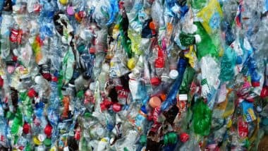 Non-biodegradable Plastics Problem Solved: Scientists Accidentally Create Bacteria That Eats Plastic