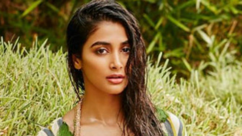Pooja Ki Sexy English Video - Pooja Hegde In This Sexy Bikni is The Hottest She Has Looked Ever! | ðŸŽ¥  LatestLY