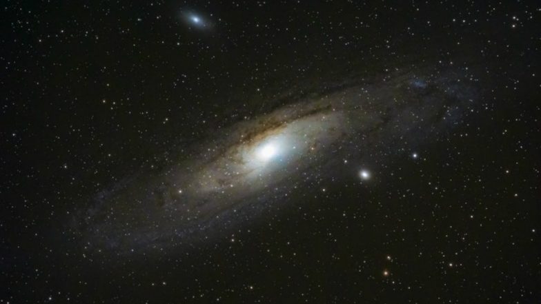 NASA Sent Human Sperm to Space for the First Time, Here's Why