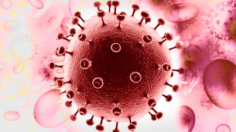 World AIDS Day 2018: What Causes HIV AIDS? (And What Doesn’t)