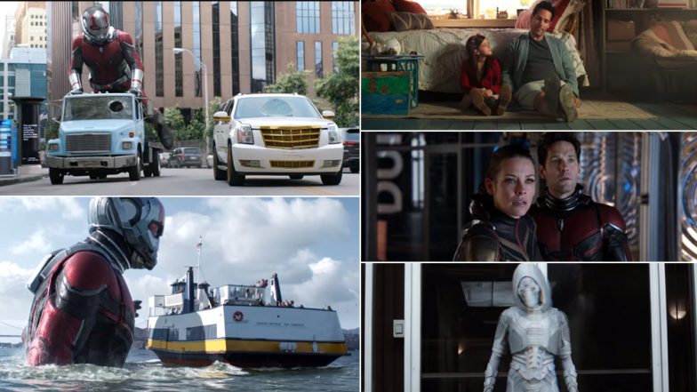 Ant-Man and the Wasp Trailer: Can Paul Rudd and Evangeline Lilly's Superhero Romp Help Us Get Rid of Avengers Infinity War Blues?
