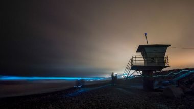 Red Tide Leads to Glowing Bioluminescent on San Diego Beaches (See Pictures)