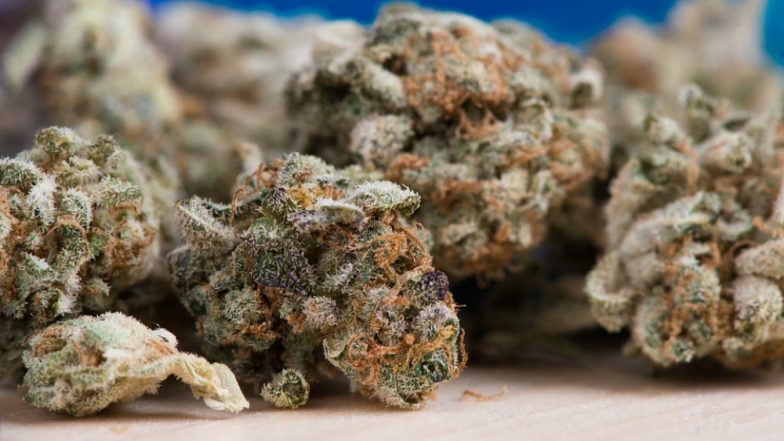Ganja Worth Rs 2 Crore Seized in Gujarat; Five Arrested
