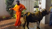 Karnataka Assembly Elections 2018: BJP's Sriramulu Performs 'Gau Puja' Before Casting His Vote