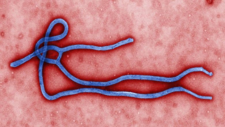DR Congo Ebola Death Toll Crosses 2,000 Ahead of UN Chief's Visit DR Congo Ebola Death Toll Crosses 2,000 Ahead of UN Chief's Visit