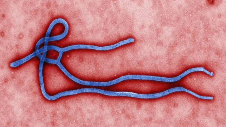 Ebola Deaths Rise to 26, Says Congo Health Ministry