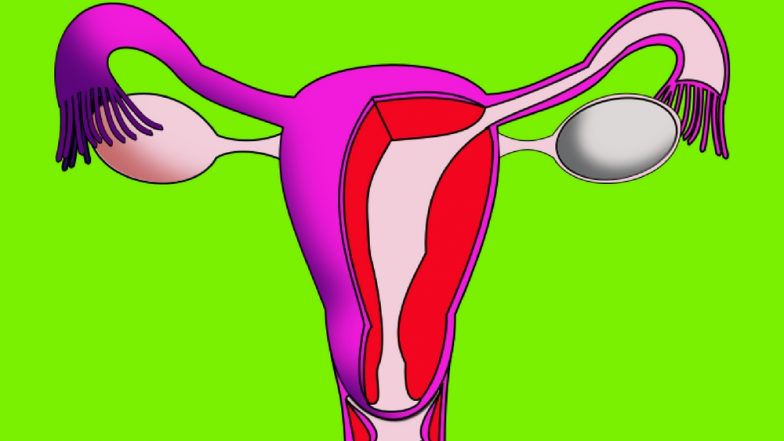 How to Overcome Anxiety About a Gynaecologist Visit? Here’s Your Guide to Choosing the Right Expert for Your Needs!