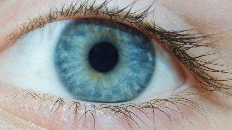3D Printer Creates Human Corneas That Can Treat Blindness