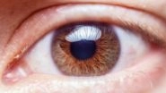 New Genetic Markers Can Now Predict Risk of Eye Disease