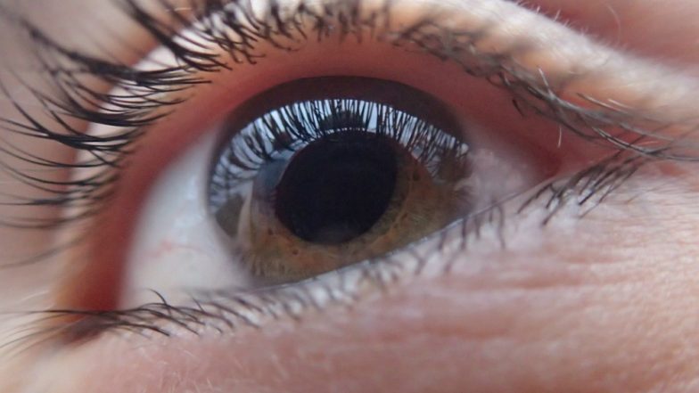 Low-Carb Diet Helps to Maintain Vision in Glaucoma Patients