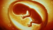 Bombay High Court Allows Abortion in 30th Week as Foetus Found to Have Birth Defect