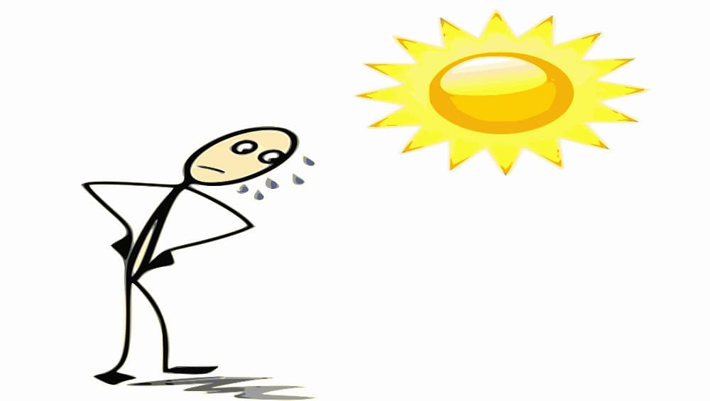 Year Ender 2019: This Year Hottest on Record for Russia, Says Weather Chief Roman Vilfand Year Ender 2019: This Year Hottest on Record for Russia, Says Weather Chief Roman Vilfand