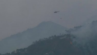 Jammu & Kashmir: Indian Air Force Douse Forest Fire in Trikuta Hills of Katra District