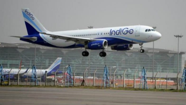 excess baggage charges in indigo