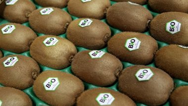 New Zealand Amends Visa Rules in Bid to Prevent Bumper Kiwi Crop From Rotting