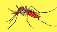 National Dengue Day 2018: Here&rsquo;s How You Can Prevent Getting Bitten By Mosquitoes