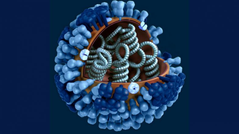 Nipah Virus: Major Hospitals in Maharashtra Set Up Isolation Wards as A Precautionary Measure