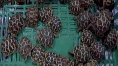 West Bengal: Twelve Tortoises Seized at Howrah Railway Station; 3 Held