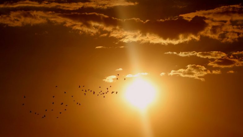 Vitamin D Therapy Helps Diabetes and Cancer Patients, Says Study