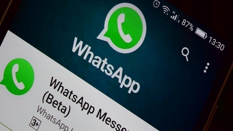 WhatsApp Group Video and Audio Calls Rolled Out in New Update: Check How Does the New Feature Works