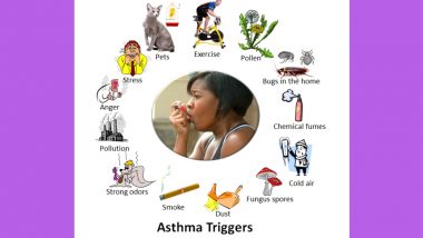 World Asthma Day 2018: How Each Season Can Trigger and Worsen Asthma