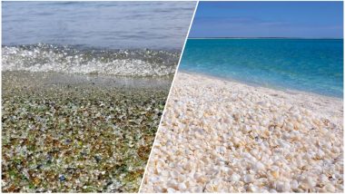 Unique Beaches Around the World: Fish Poop or Recycled Coloured Glasses, These Formations are Strange Yet Beautiful