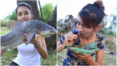 Couple Eats Cats, Lizards, Snakes, Stingray and Endangered Birds to Earn Money on YouTube, Watch Video