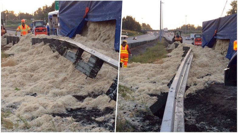 Truck Carrying 40,000 Pounds of Chicken Feathers Crashes & Spills in Seattle’s Highway, View Pics