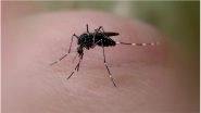 How Chikungunya Virus Causes Arthritis Pain, Scientists Have Found Way to Treat the Pain
