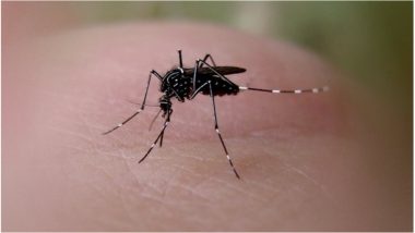 How Chikungunya Virus Causes Arthritis Pain Scientists Have Found Way To Treat The Pain Latestly