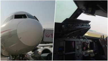 Pilot ‘Sucked Halfway Out’ of the Sichuan Airlines Plane When Cockpit Windshield Blew Out; See Pics