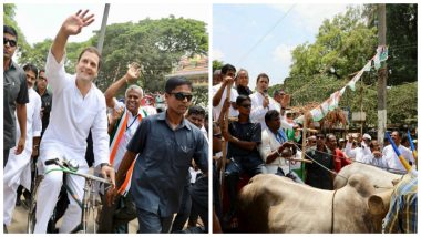 Karnataka Assembly Elections 2018 Campaign Video Highlights: Rahul Gandhi Rides Bicycle, Stands on Bullock Cart to Protest Against Fuel Price Rise