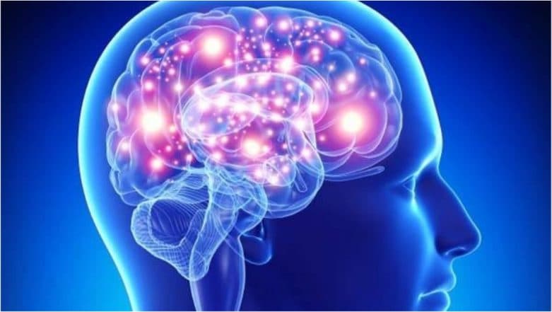 IIIT-Hyderabad Researchers Create 'Indian Brain Atlas' to Help in Better Diagnosis 