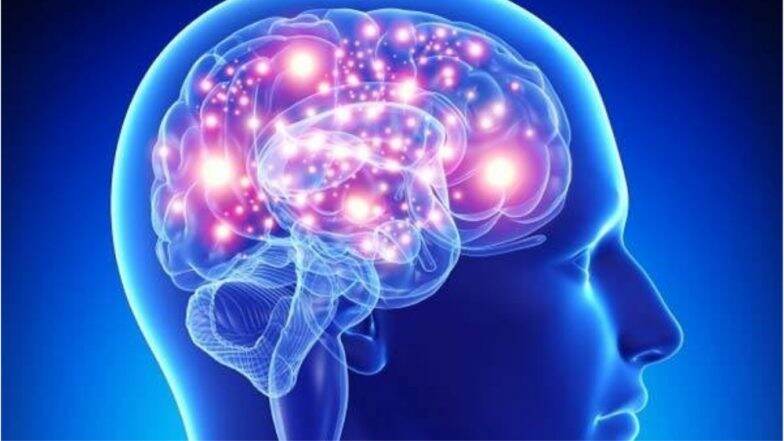 Indians Have Smaller Brains Compared to Caucasians and Chinese: Study Indians Have Smaller Brains Compared to Caucasians and Chinese: Study