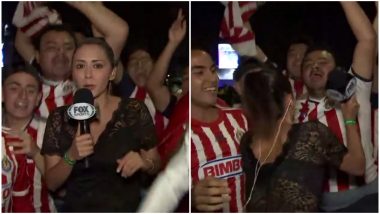 Man Gropes Fox Sports Reporter on Live TV, She Hits Back With Her Microphone, Watch Video