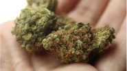 Lebanon to Legalise Marijuana: Why are Countries Getting on the Cannabis Wagon?