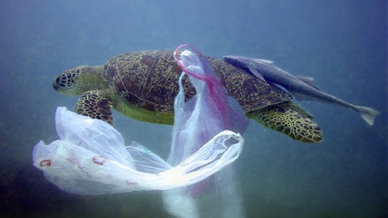 European Commission Proposes Ban on Single Use Plastic Products Likes Straws, Cotton Buds